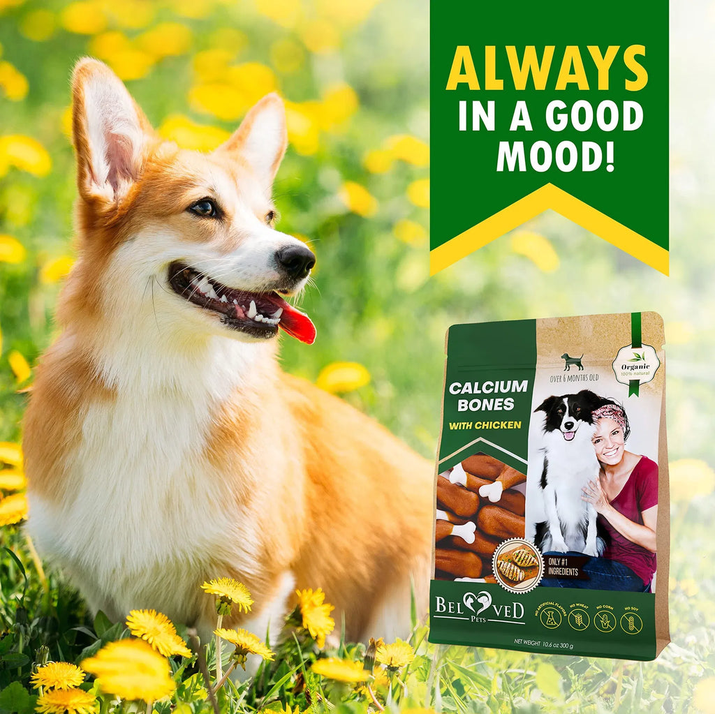 Premium Chicken-Wrapped Calcium Dog Bones - Grain-Free Natural Chew Treats for All Breeds