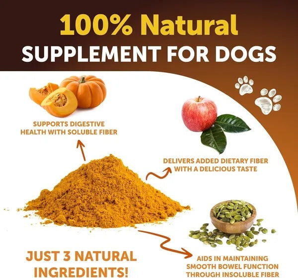 Pumpkin Powder for Dogs - Digestive Support Supplement 16 oz | Made in USA