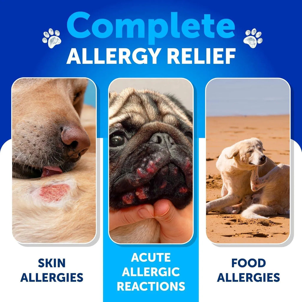 Dog Probiotics Chews - 180 Count Digestive & Immune Support for Gut Health, Itchy Skin & Allergies