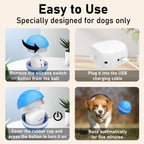 Interactive Dog Ball Toy – Motion-Activated Rolling Ball for Medium & Large Dogs