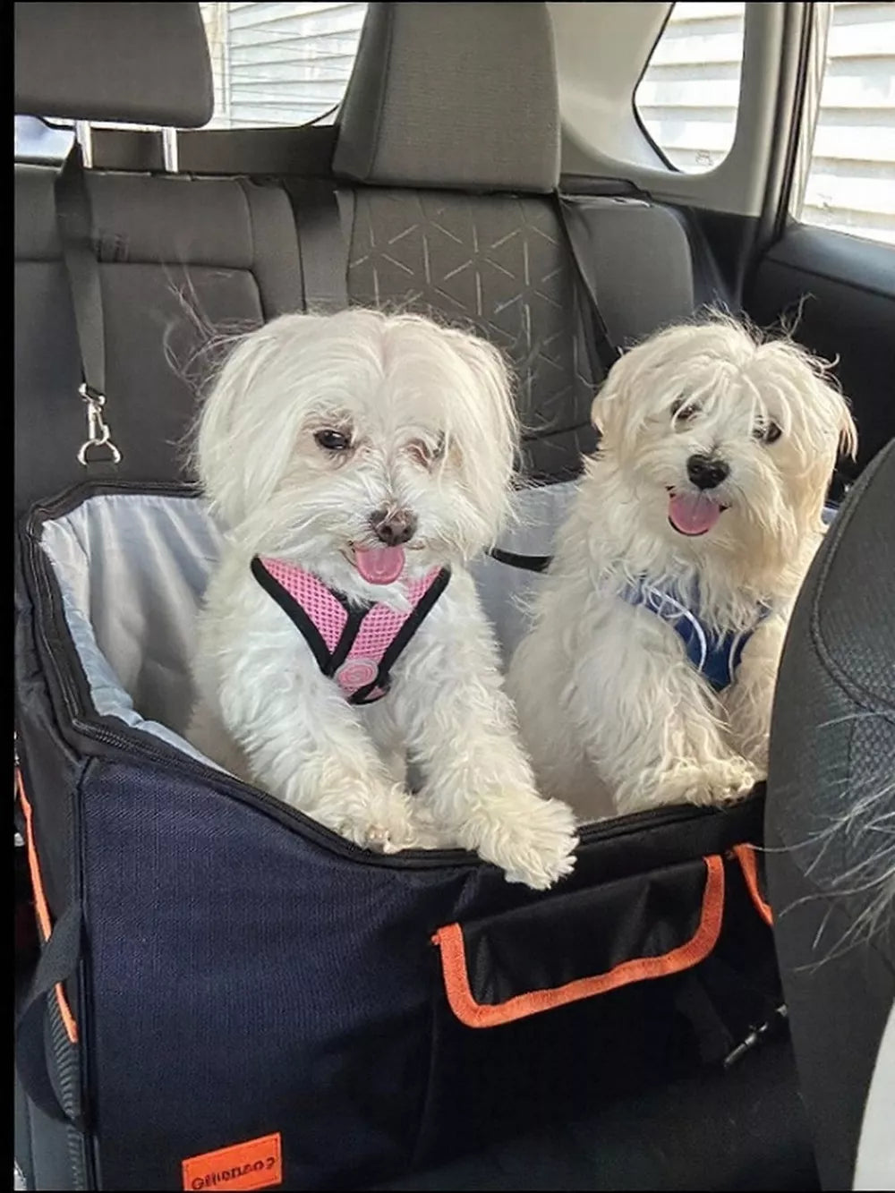 Pet Car Seat Booster – Elevated & Secure Travel Seat for Dogs & Cats