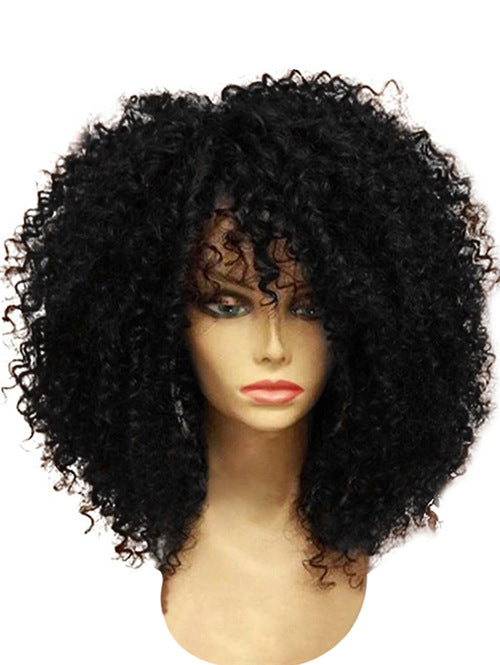 Afro Curly Wig | Voluminous Natural Black | Heat-Resistant Synthetic