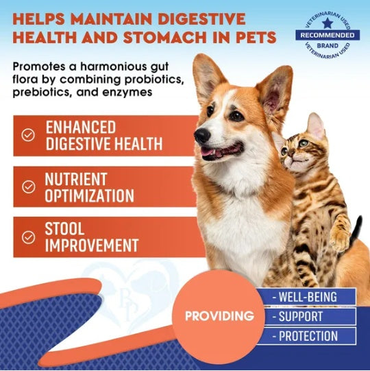 Probiotics for Dogs & Cats | Digestive Enzymes, Gut Health & Immune Support