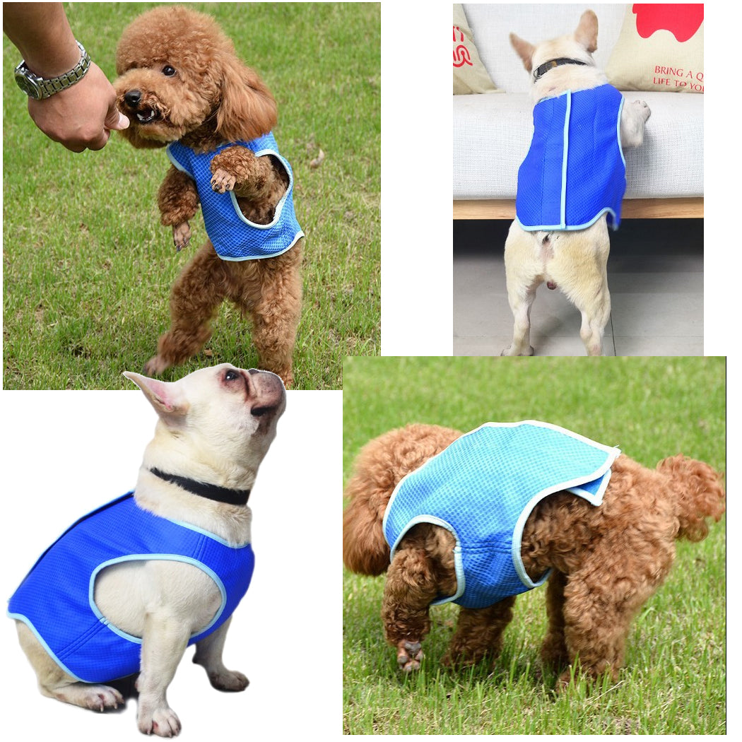 Dog Cooling Vest for Summer - Breathable Heat Relief Pet Jacket