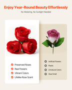 50 Preserved Roses in Heart-Shaped Box – Forever Flowers, Lasts Up to 3 Years