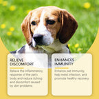 Natural Pet Yeast Relief Supplement – Herbal Skin Soothing Formula for Dogs & Cats