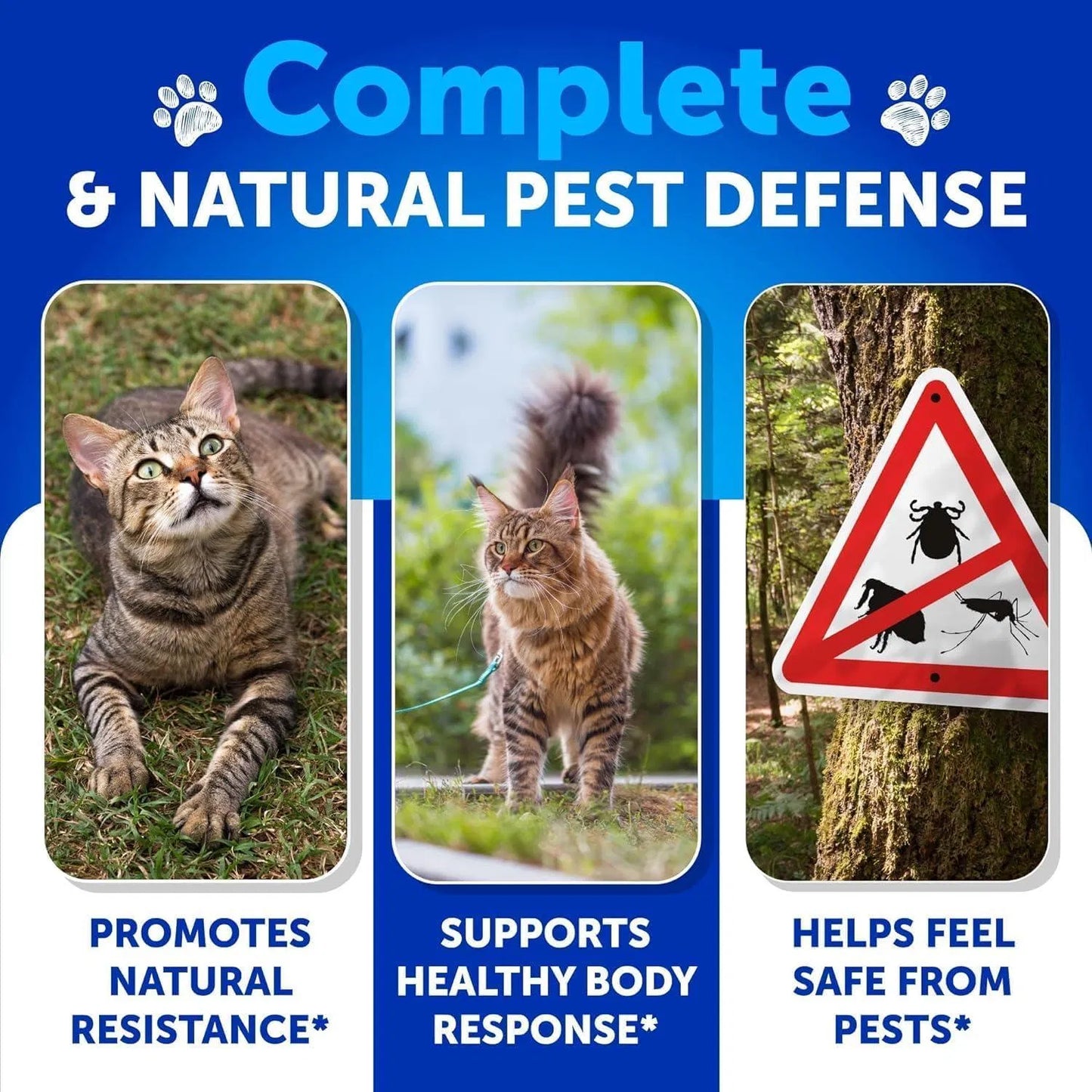 Natural Flea & Tick Prevention for Cats – 135 Soft Chews with Vitamins B1, B6 & B12