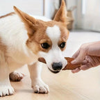 Chicken Wrapped Rawhide Dog Chews – Natural Dental Treats for All Sizes | 400g Pack