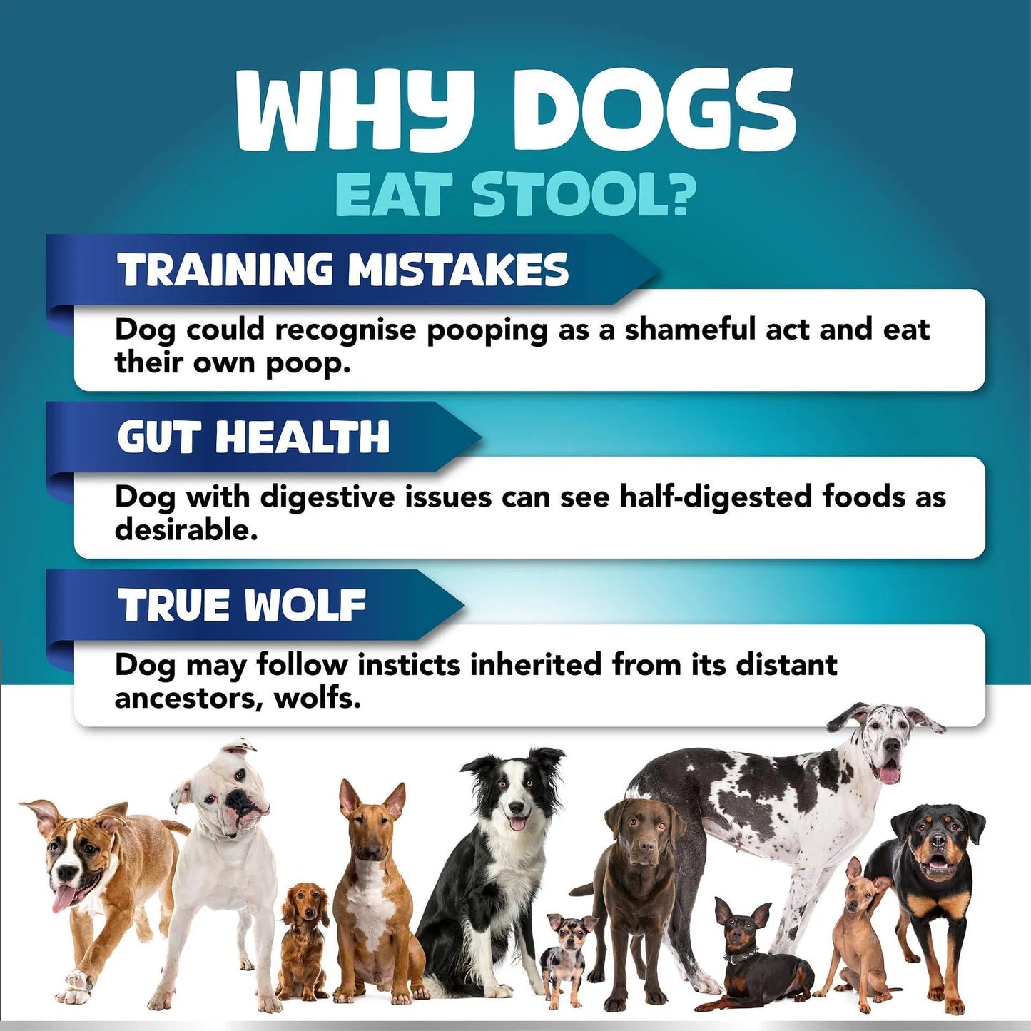No Poo Chews – Stop Dog Poop Eating | 180 Soft Chews with Probiotics & Digestive Enzymes
