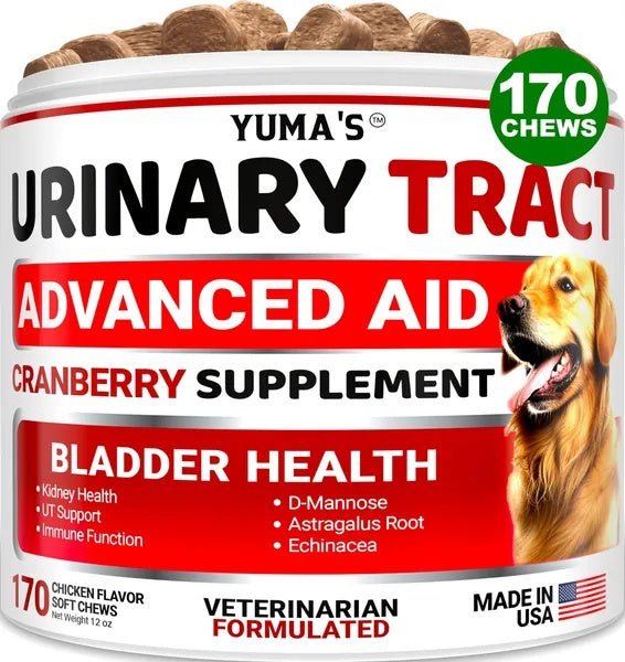 Dog Cranberry Supplement for Urinary Tract Health - 170 Chicken Flavor Chews with D-Mannose