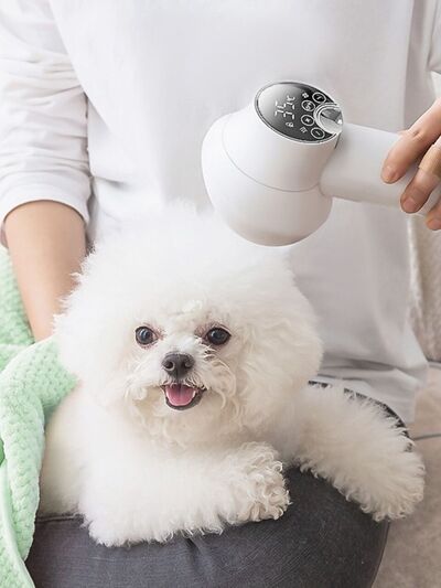 Low Noise Pet Hair Dryer & Comb | 2-in-1 Electric Grooming Dryer for Dogs & Cats