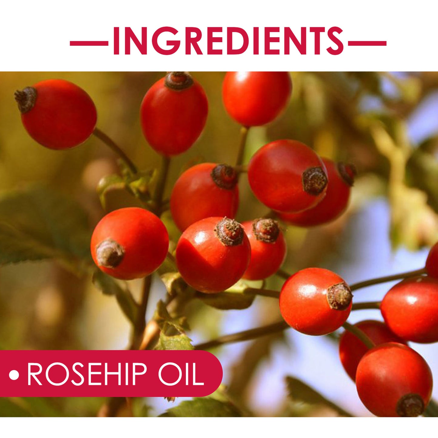 Organic Rosehip Oil - Multi-Purpose Face, Body & Hair Moisturizer for Dry Skin & Anti-Aging