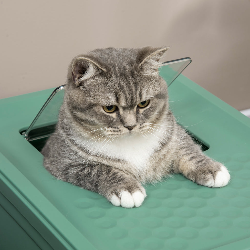 PawHut Enclosed Cat Litter Box - Odor Control, Top Entry, Pull-Out Drawer - Green