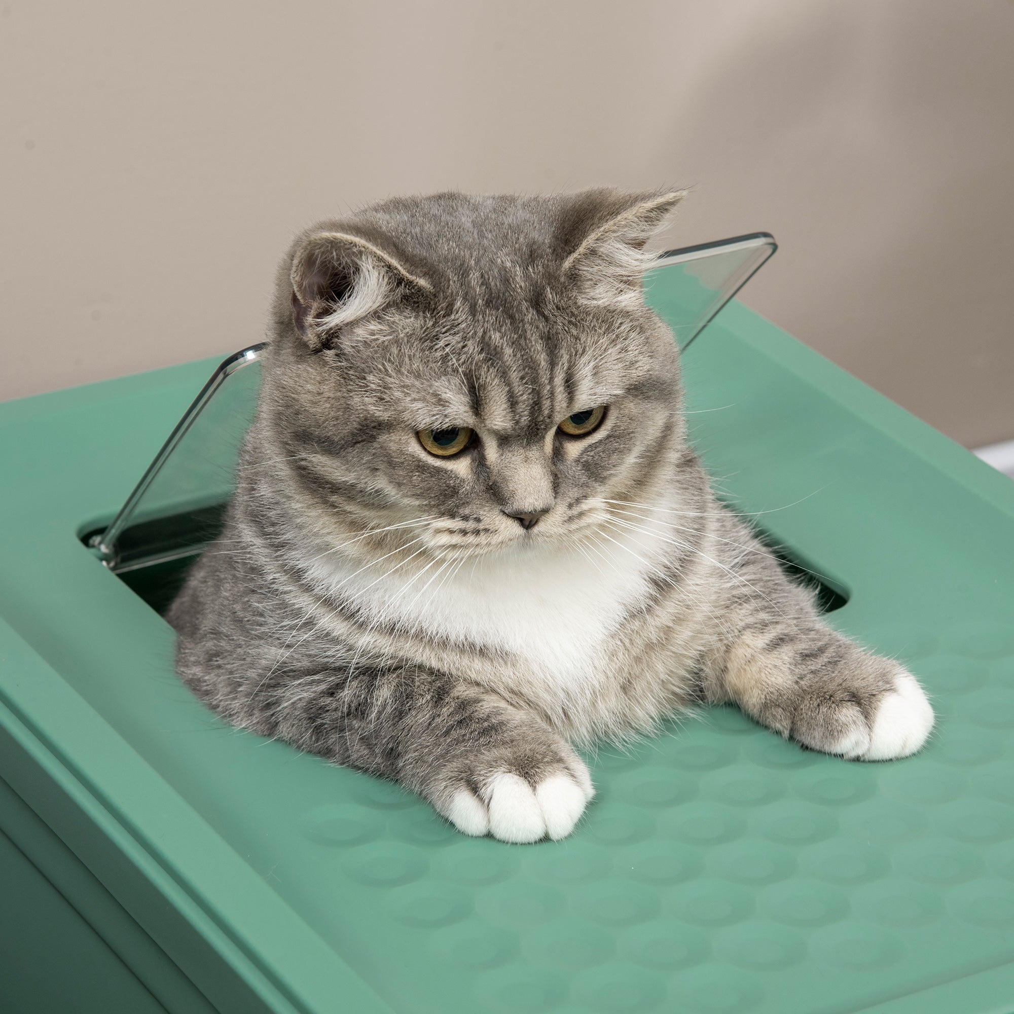 PawHut Enclosed Cat Litter Box - Odor Control, Top Entry, Pull-Out Drawer - Green