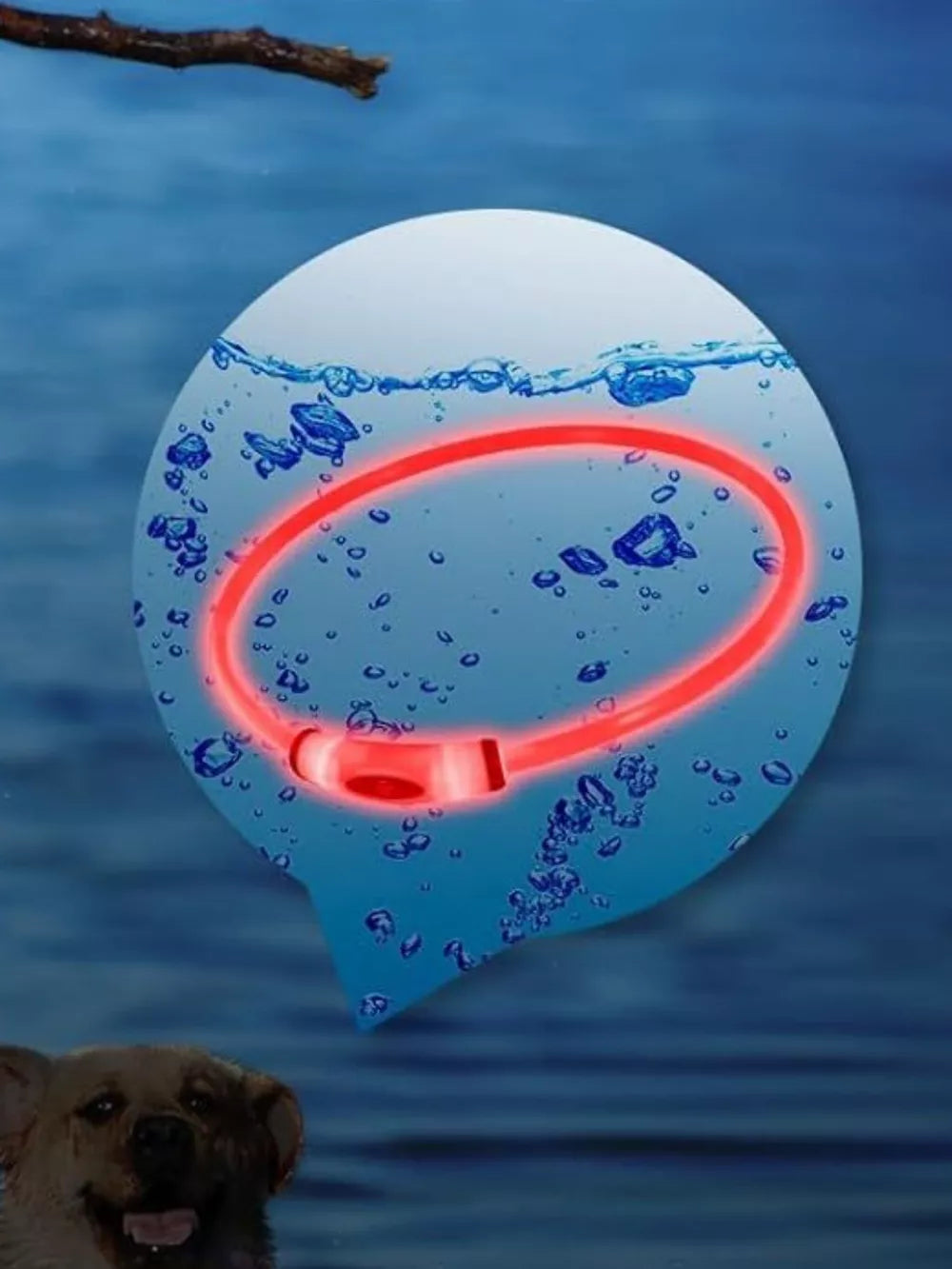 LED Pet Collar – USB Rechargeable, Cuttable & Full 360° Glow | Night Safety for Dogs & Cats