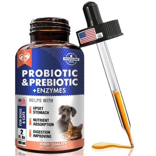 Probiotics for Dogs & Cats | Digestive Enzymes, Gut Health & Immune Support