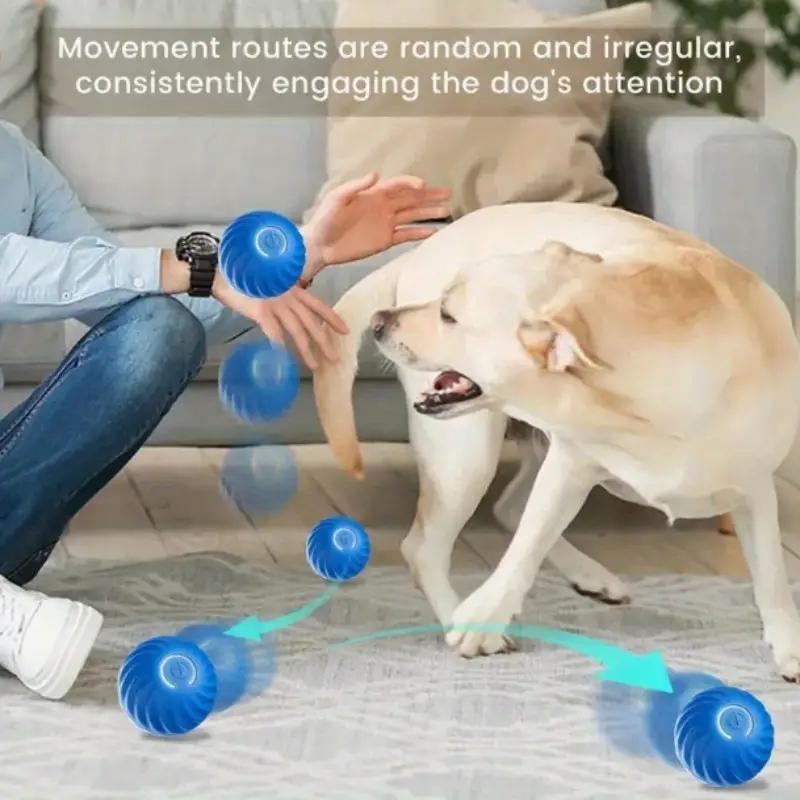 Interactive Bounce Ball for Dogs & Cats – Durable Rubber Pet Toy