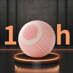 Interactive Self-Rolling Cat Ball Toy - Motion Activated with LED Lights