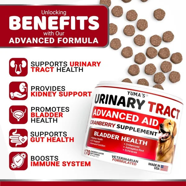 Dog Cranberry Supplement for Urinary Tract Health - 170 Chicken Flavor Chews with D-Mannose