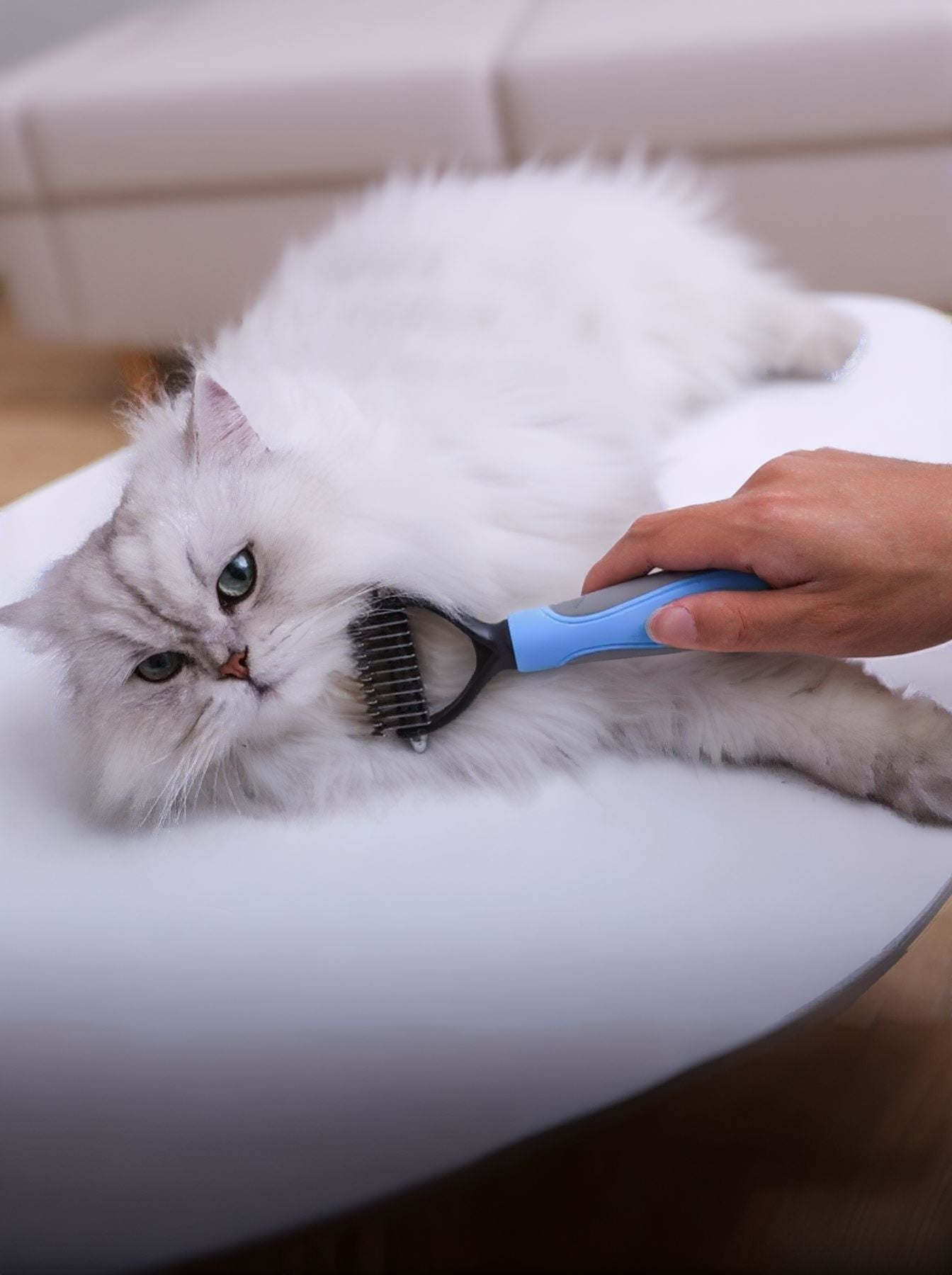 Deshedding Pet Hair Removal Comb | Stainless Steel Grooming Comb for Dogs & Cats