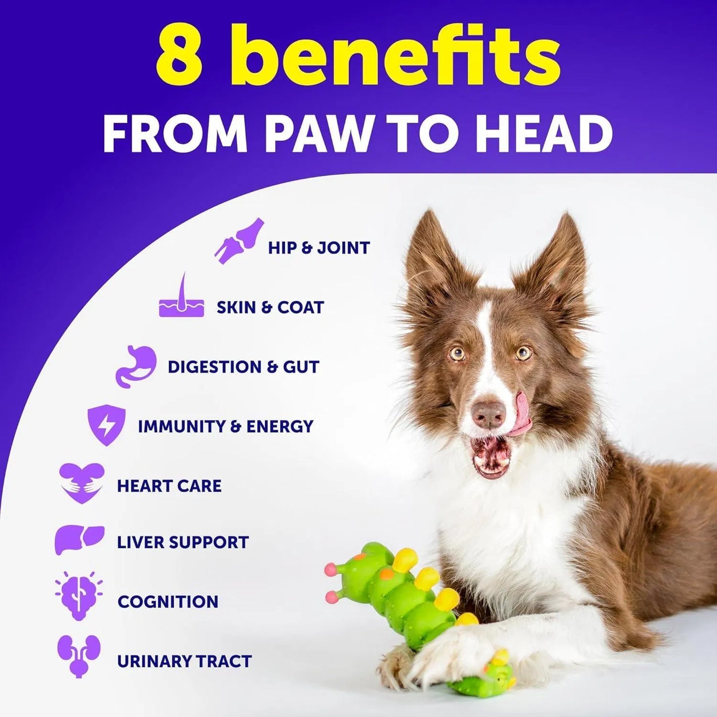 Dog Multivitamin 20-in-1 with Glucosamine - Hip & Joint Support, Probiotics, Omega-3 - 120 Chews