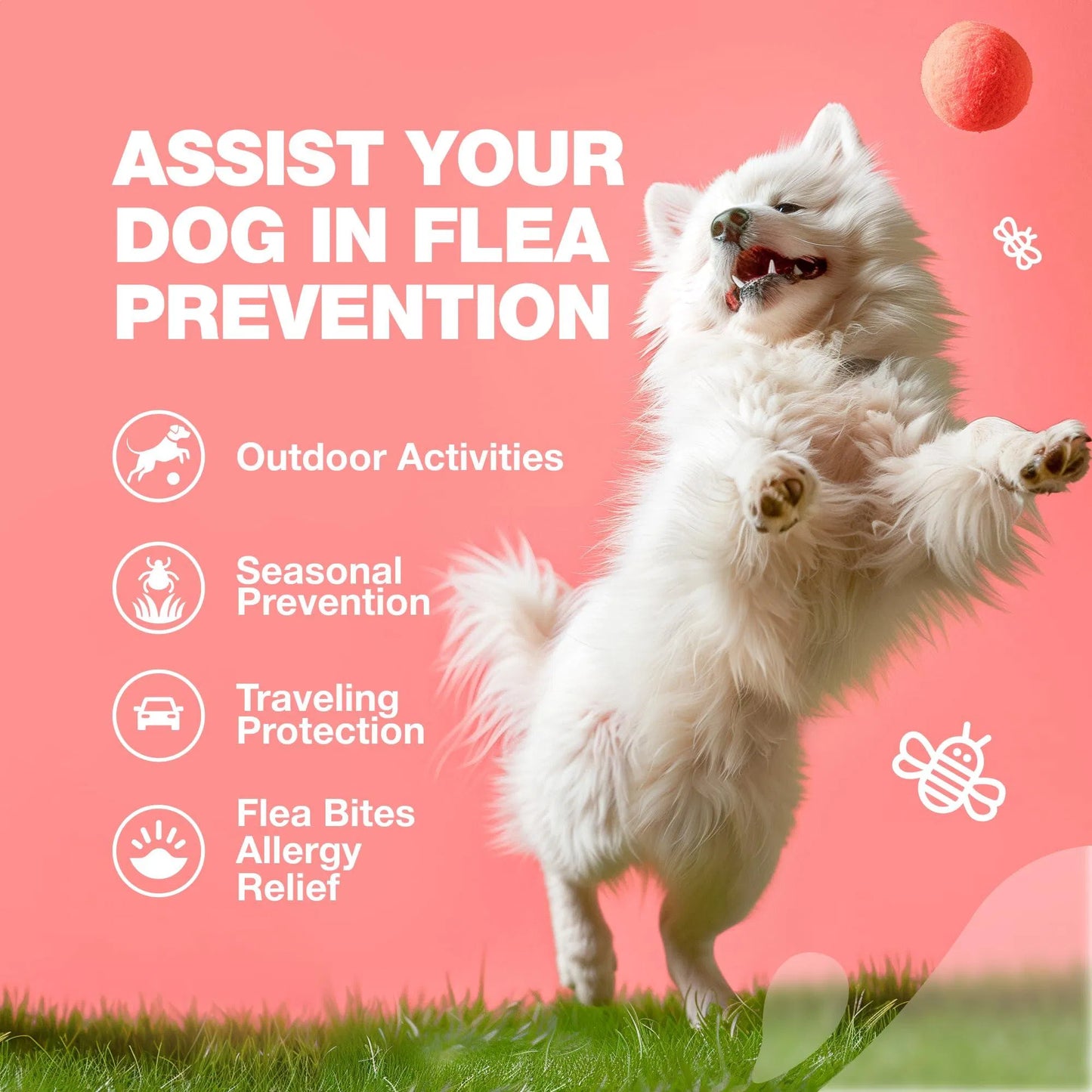 Natural Flea and Tick Prevention Chews for Dogs - Immune Support Soft Treats