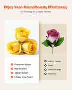 Preserved Roses Heart Box - 27 Real Eternal Roses Gift for Her, Anniversary, Valentine's Day & Birthday