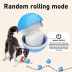 Interactive Dog Ball Toy – Motion-Activated Rolling Ball for Medium & Large Dogs