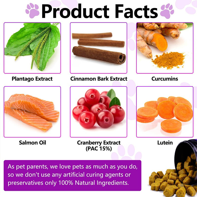 Probiotics Chews for Dogs | Digestive Health & Gut Support Supplement