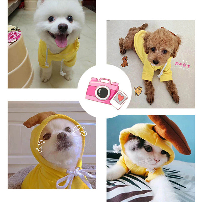 Cozy Fruit Hoodie for Small Dogs | Warm Fleece Winter Coat for Chihuahuas, French Bulldogs & Puppies