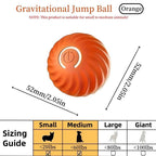 Interactive Bounce Ball for Dogs & Cats – Durable Rubber Pet Toy