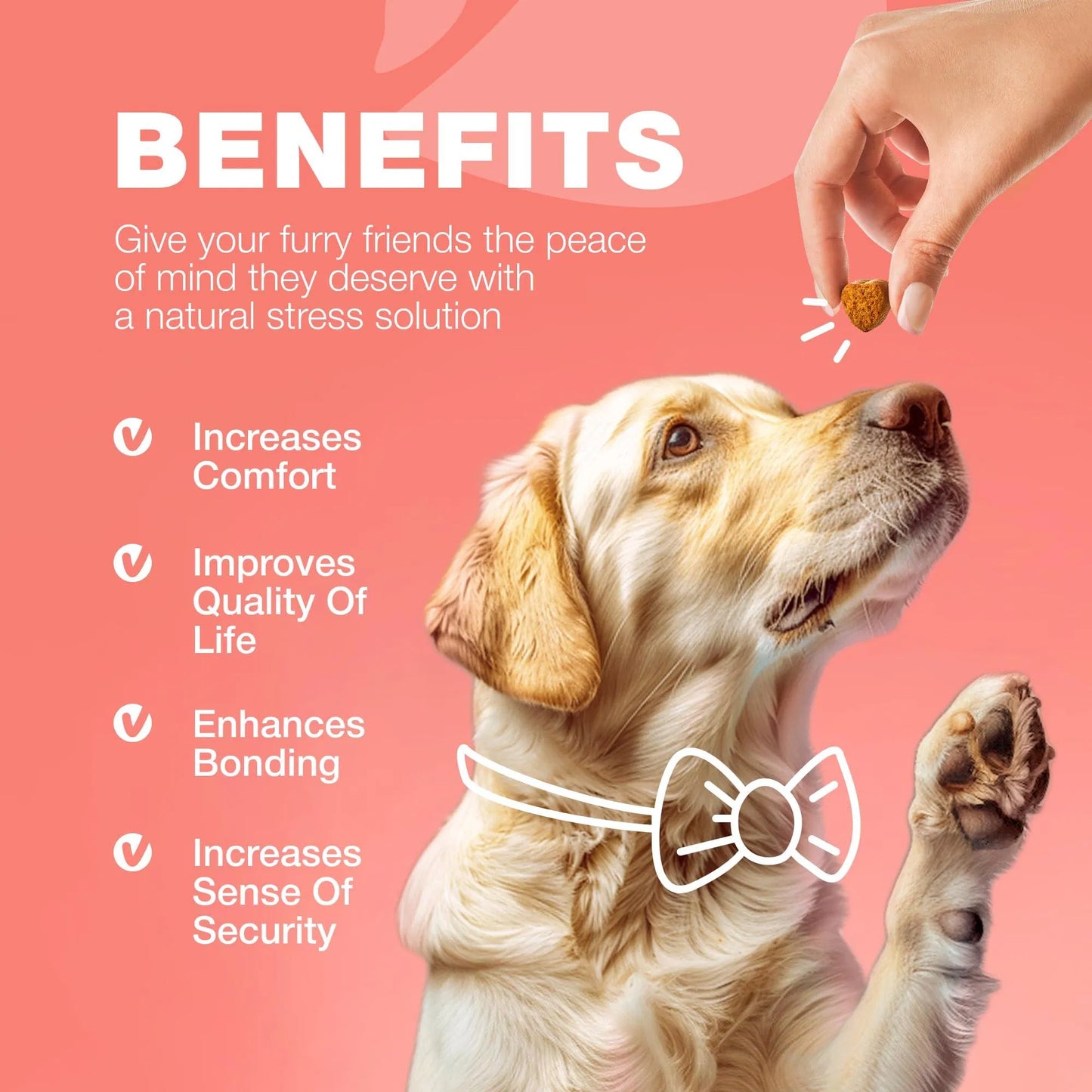 Natural Flea and Tick Prevention Chews for Dogs - Immune Support Soft Treats