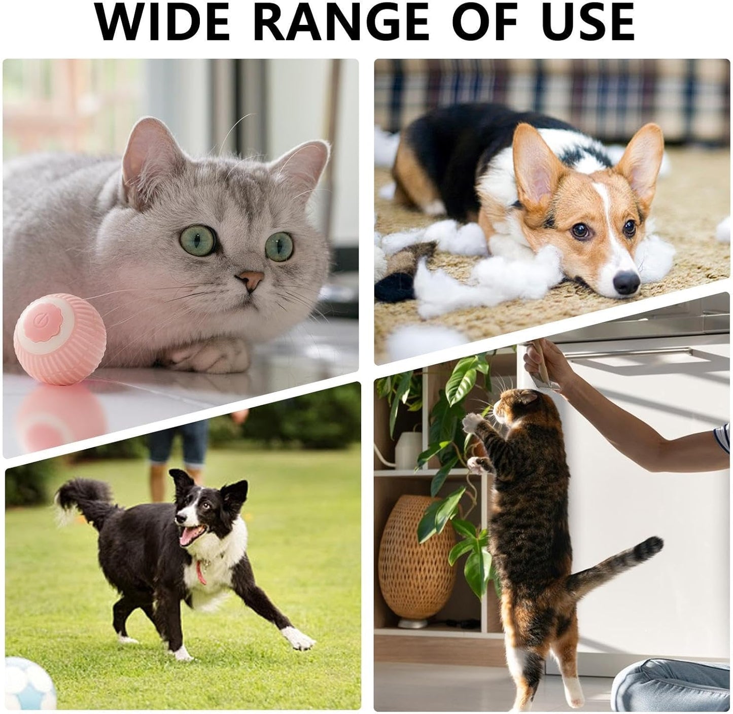 Interactive Self-Rolling Cat Ball Toy - Motion Activated with LED Lights