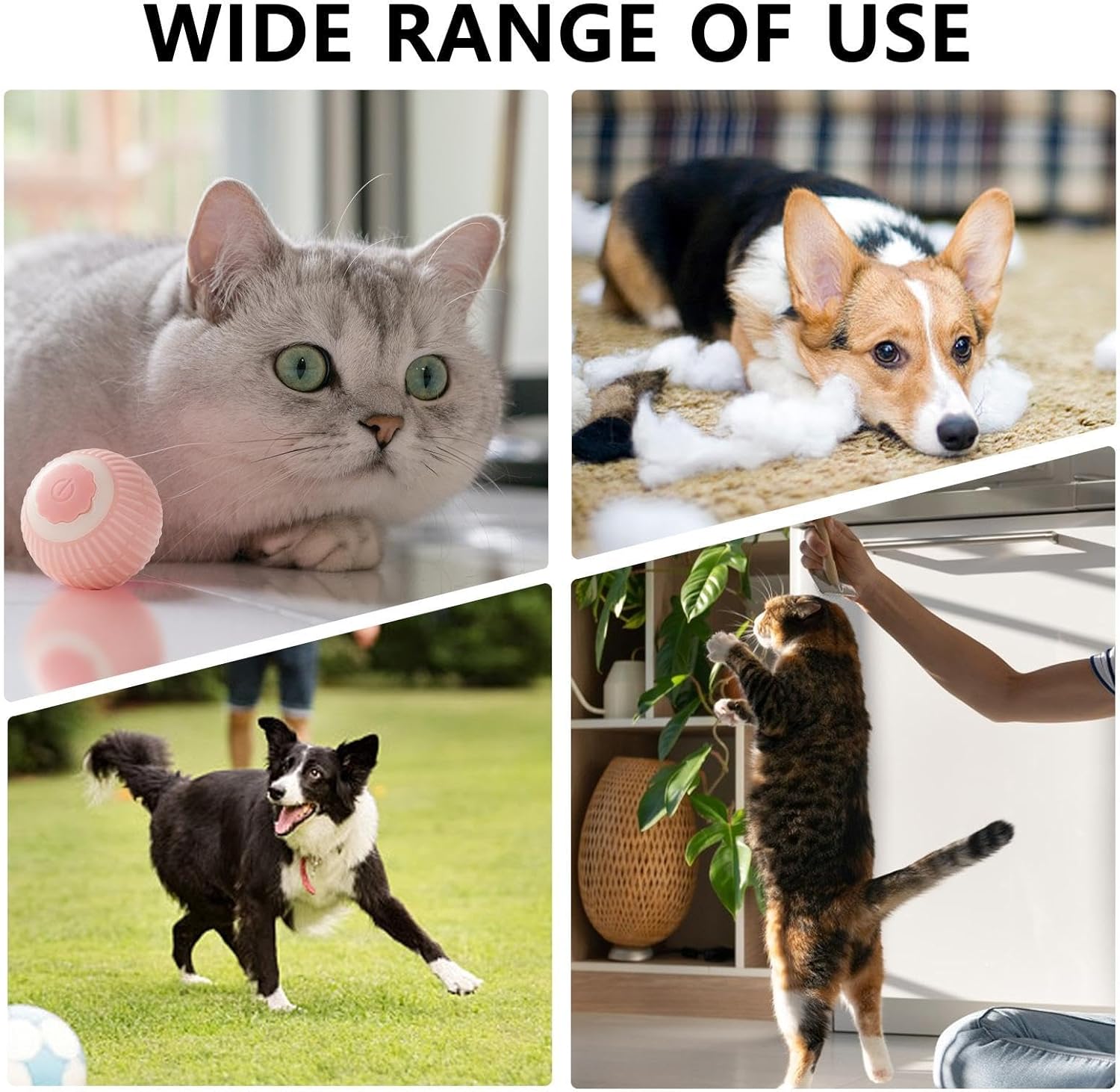 Interactive Self-Rolling Cat Ball Toy - Motion Activated with LED Lights
