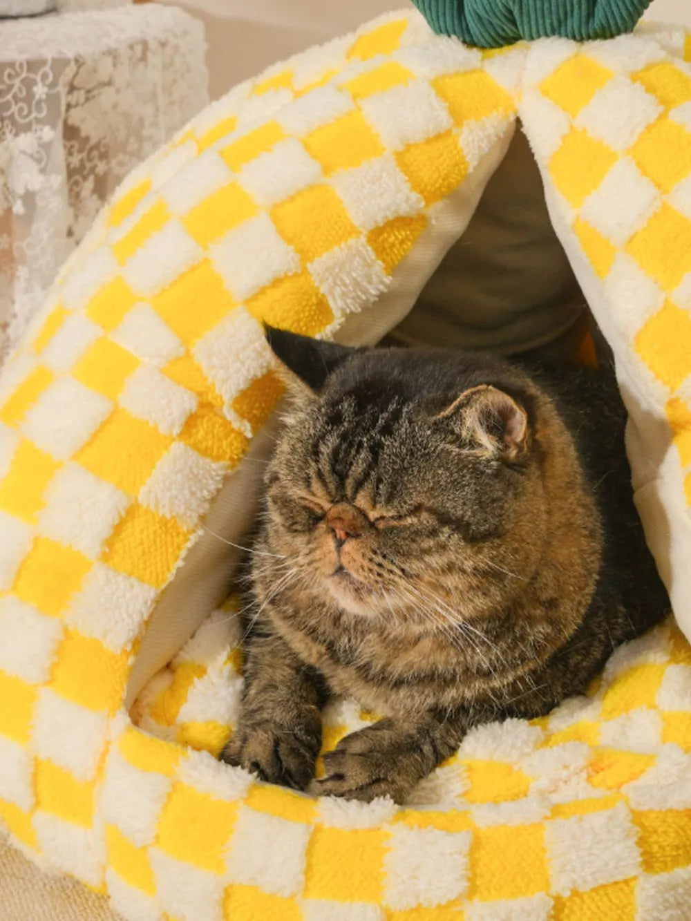 Pineapple Cat Bed – Foldable Semi-Enclosed Cozy Pet Nest