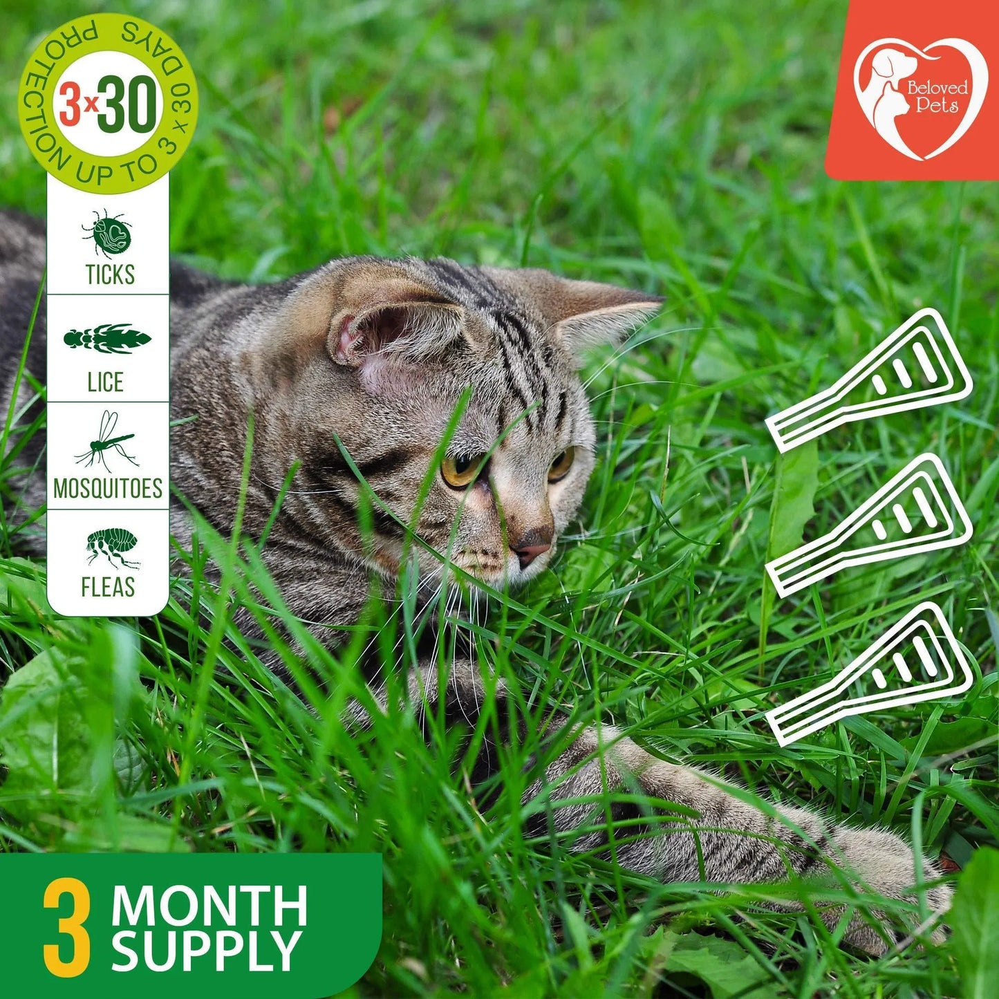 Natural Flea & Tick Prevention for Dogs & Cats - 3 Month Protection
