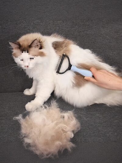 Deshedding Pet Hair Removal Comb | Stainless Steel Grooming Comb for Dogs & Cats