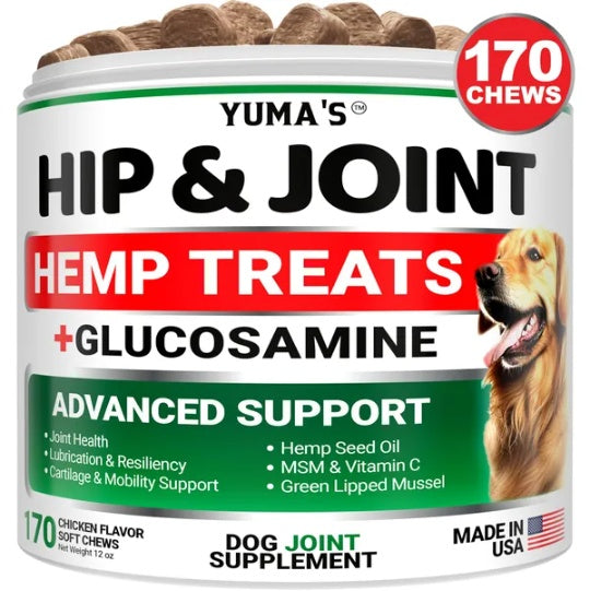 Dog Hip & Joint Supplement - Glucosamine Chondroitin MSM Hemp Chews for Mobility & Pain Relief - All Breeds
