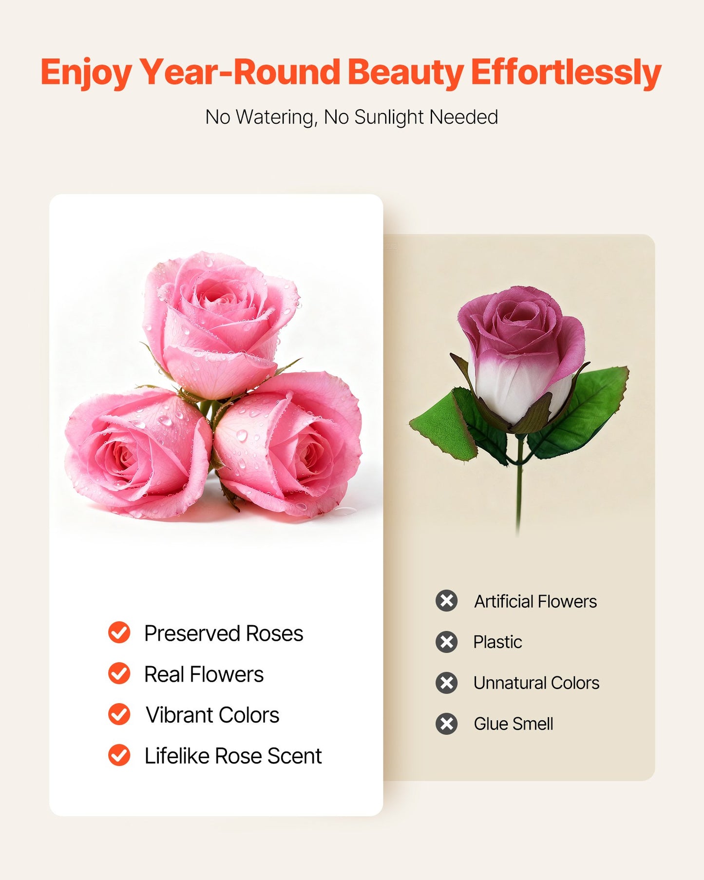 Preserved Roses Gift Box - 50 Real Eternal Roses, Long-Lasting Romantic Bouquet for Anniversary, Birthday & Valentine's Day