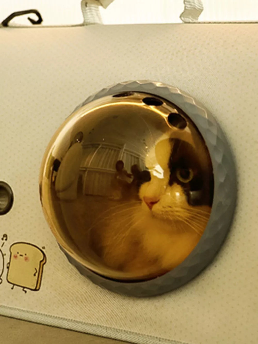 Bubble Window Pet Carrier Backpack — Breathable & Secure for Cats & Small Dogs