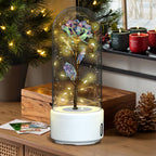 Enchanted Rose LED Light with Bluetooth Speaker - Romantic Glass Dome Night Light for Valentine's Day & Home Decor