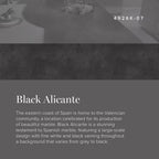 3 In. X 5 In. Laminate Sheet Sample in Black Alicante with Premium Textured Gloss Finish