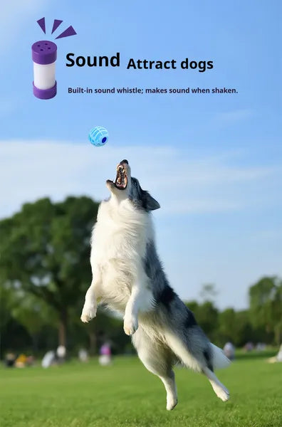 Squeaky Ball for Dogs & Cats – Interactive Sound Toy for Active Pet Play