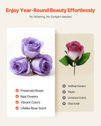 Preserved Roses Gift Box - 50 Real Eternal Roses, Long-Lasting Floral Arrangement for Anniversary, Birthday & Valentine's Day
