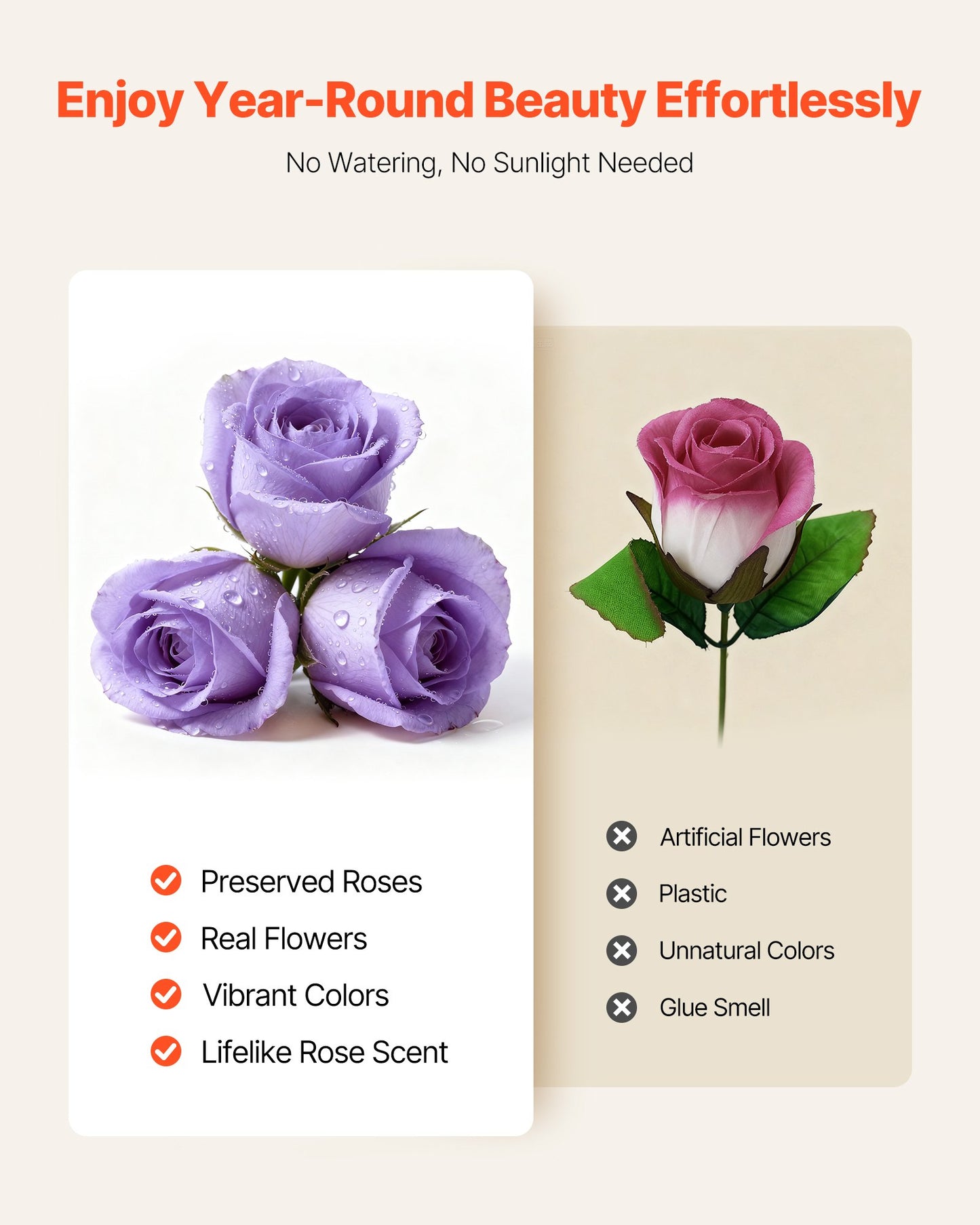 Preserved Roses Gift Box - 50 Real Eternal Roses, Long-Lasting Floral Arrangement for Anniversary, Birthday & Valentine's Day