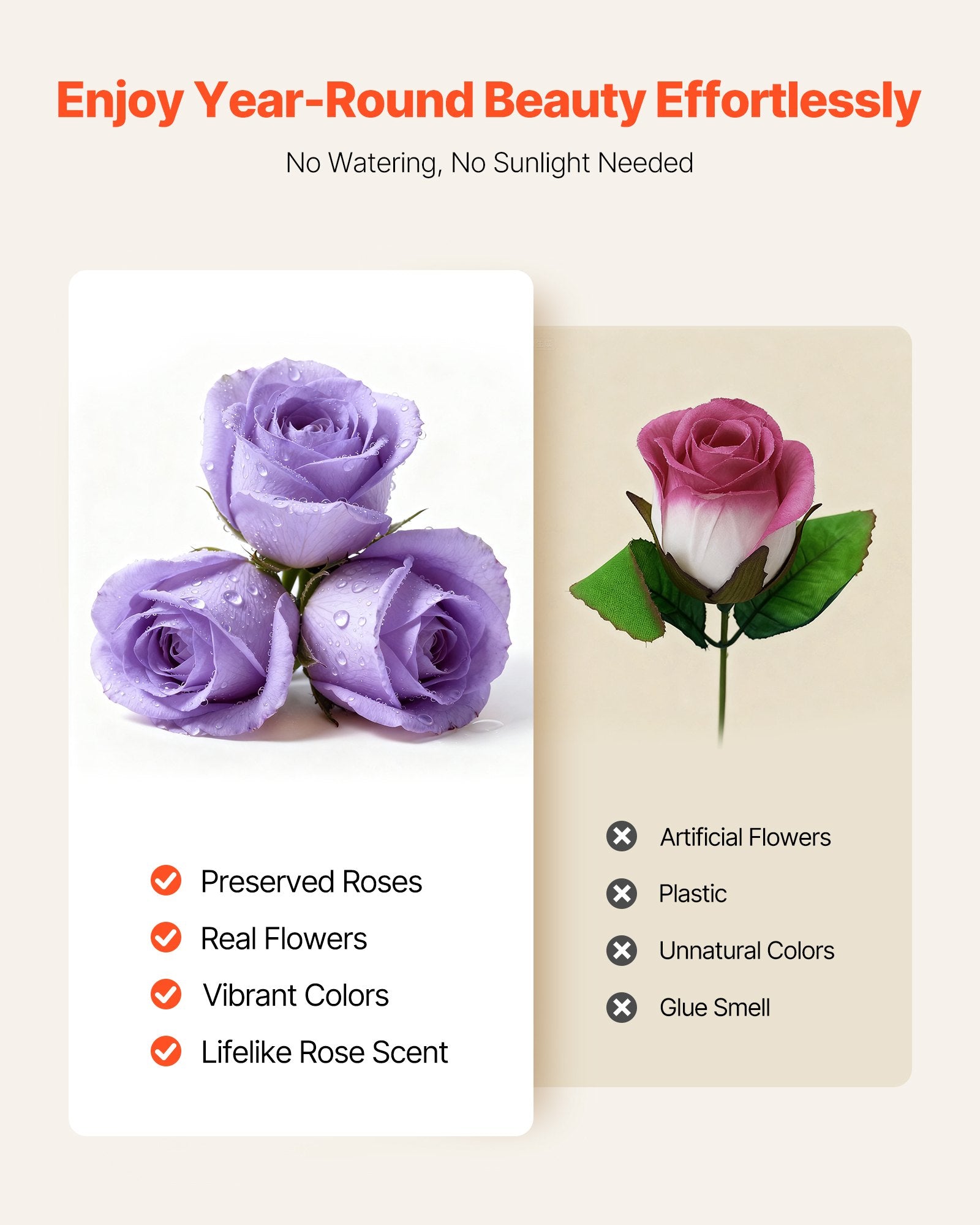 Preserved Roses Gift Box - 50 Real Eternal Roses, Long-Lasting Floral Arrangement for Anniversary, Birthday & Valentine's Day