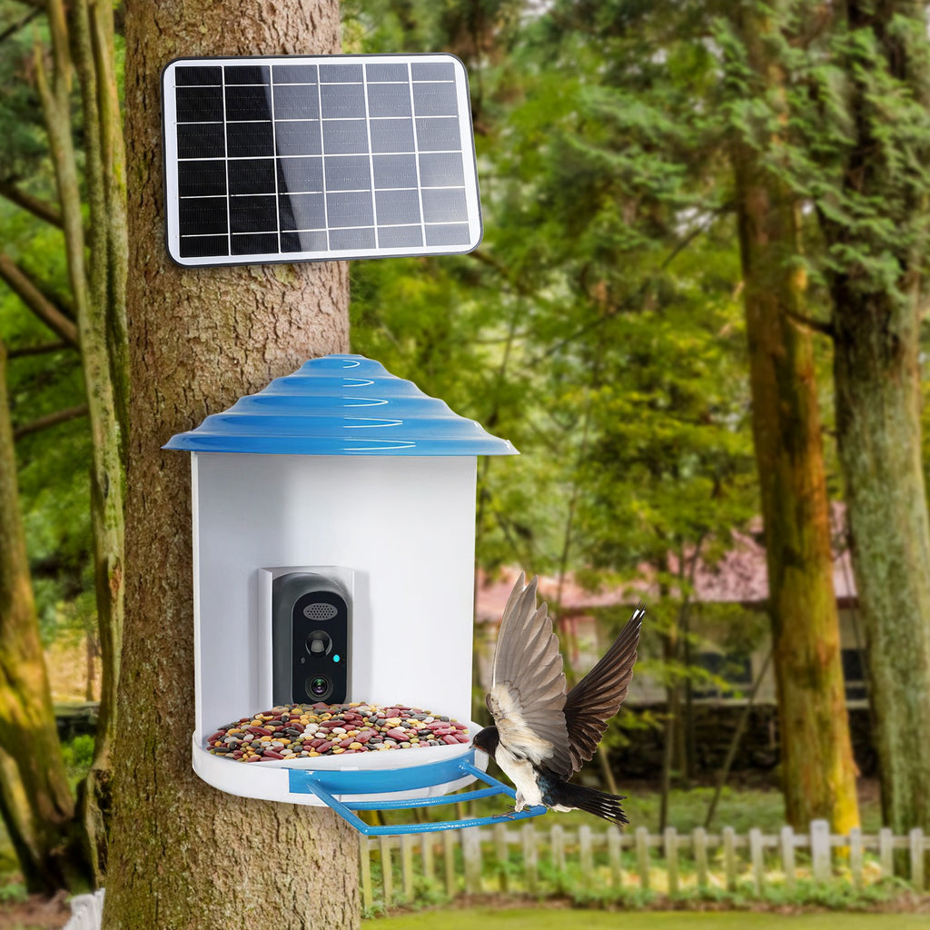 Smart Bird Feeder Camera with Solar Panel - 1080P HD AI Bird Identification & Motion Detection