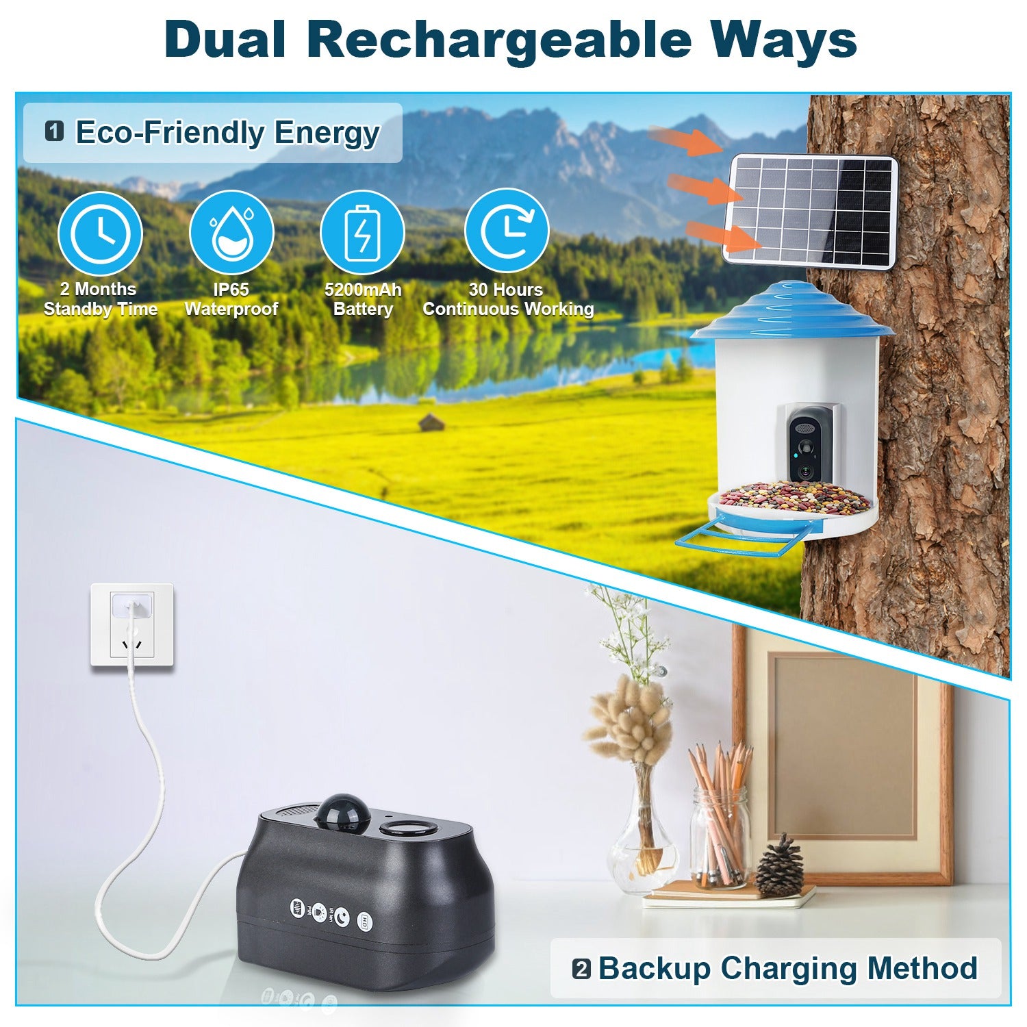 Smart Bird Feeder Camera with Solar Panel - 1080P HD AI Bird Identification & Motion Detection
