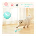 Interactive Self-Rolling Cat Ball Toy - Motion Activated with LED Lights