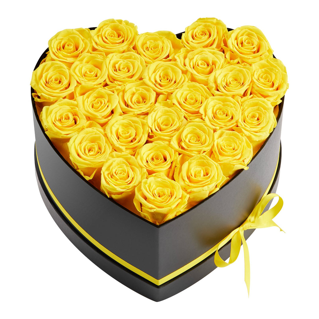 Preserved Roses Heart Box - 27 Real Eternal Roses Gift for Her, Anniversary, Valentine's Day & Birthday